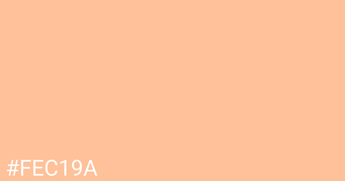 Hex color #fec19a graphic