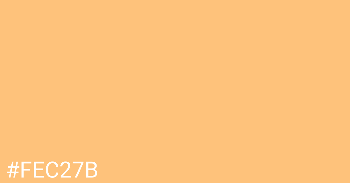 Hex color #fec27b graphic