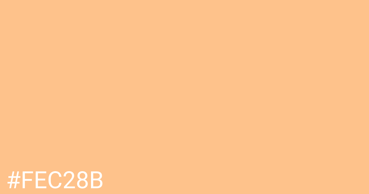 Hex color #fec28b graphic