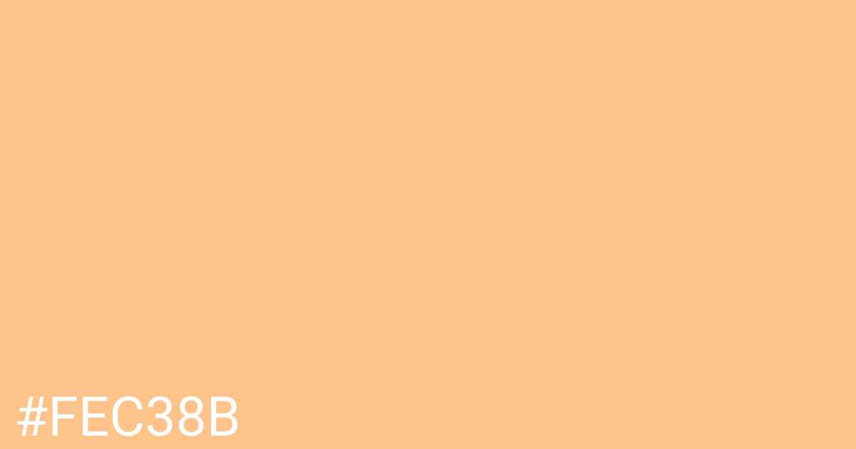 Hex color #fec38b graphic