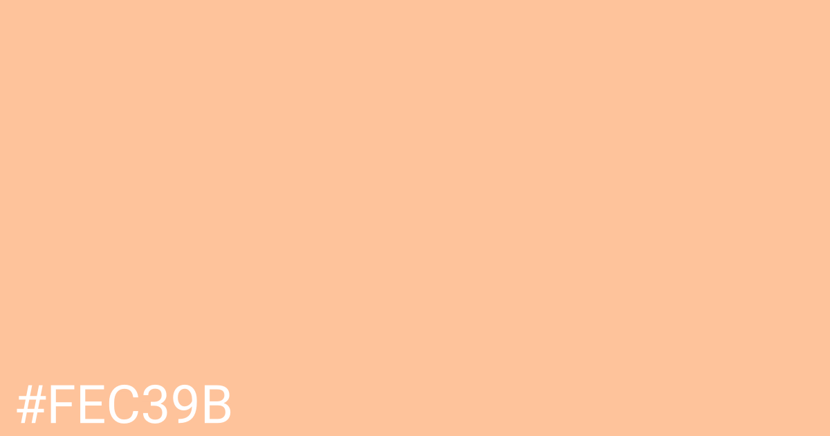 Hex color #fec39b graphic