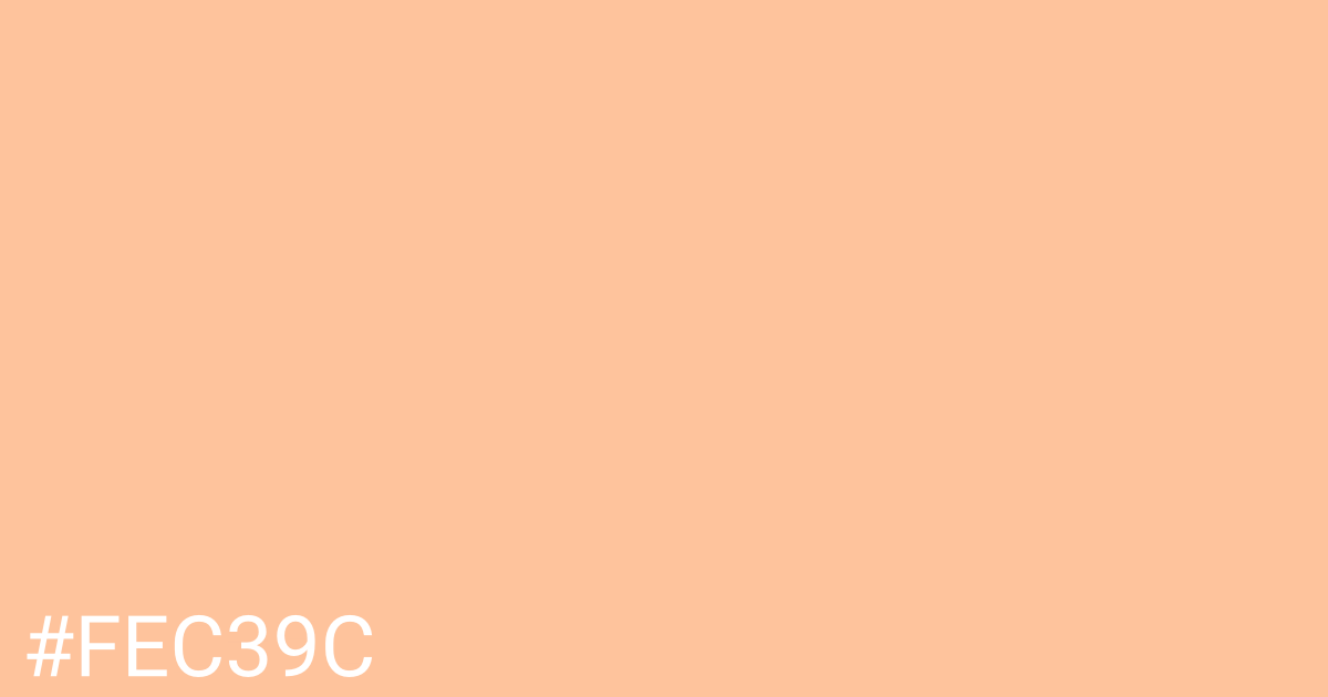 Hex color #fec39c graphic