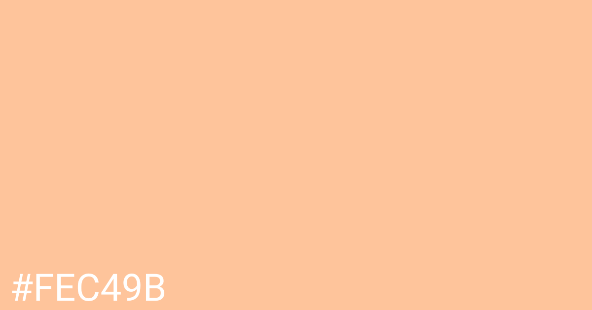 Hex color #fec49b graphic