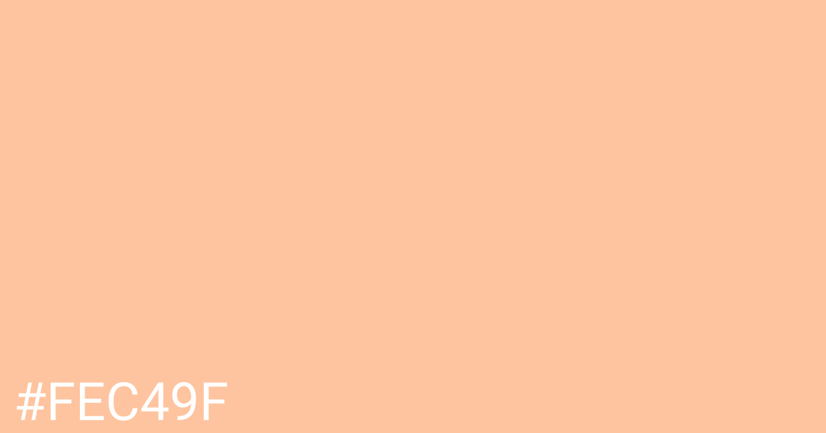 Hex color #fec49f graphic