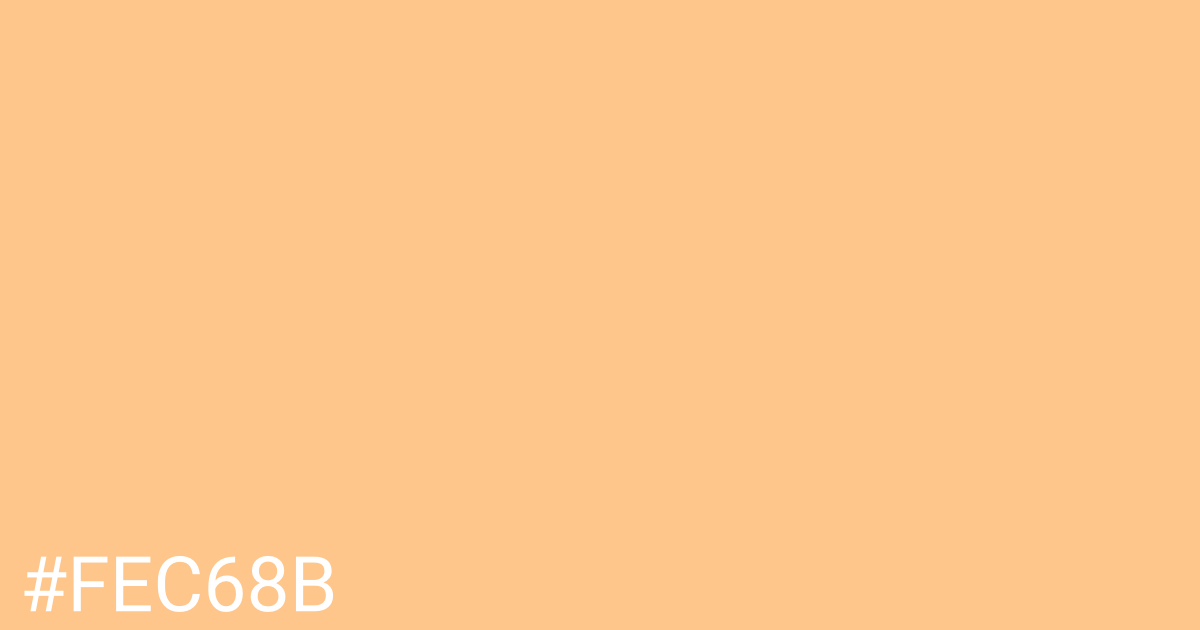 Hex color #fec68b graphic