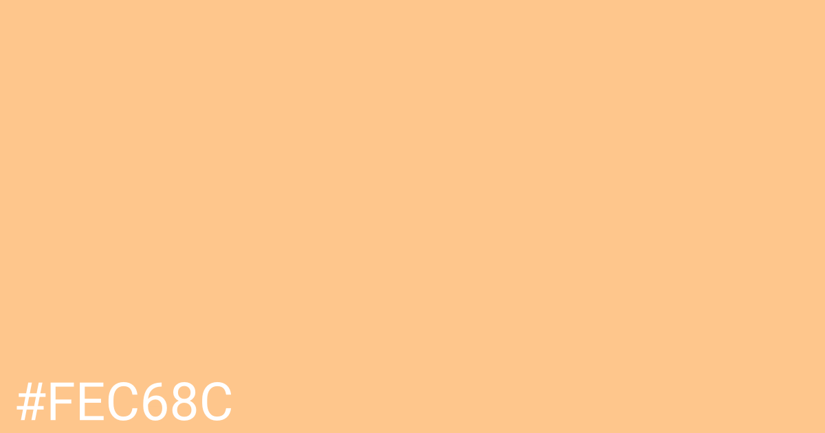 Hex color #fec68c graphic