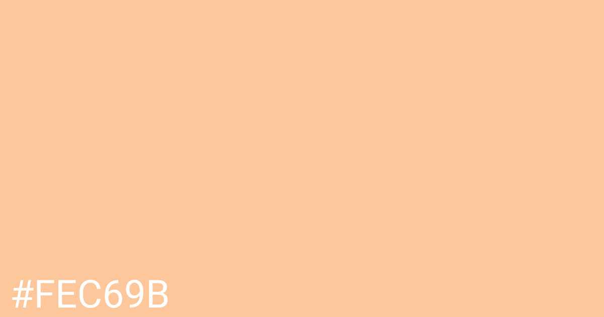 Hex color #fec69b graphic