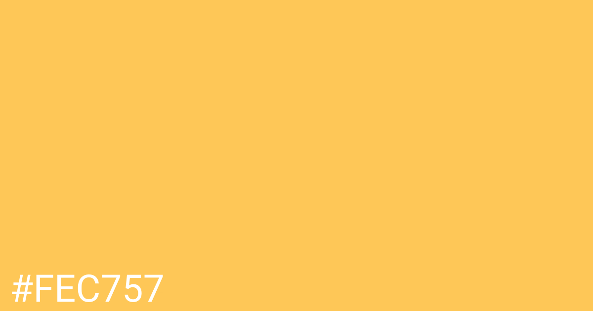 Hex color #fec757 graphic