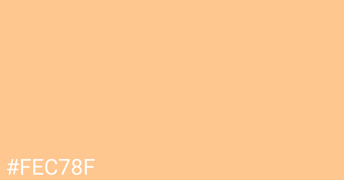 Hex color #fec78f graphic