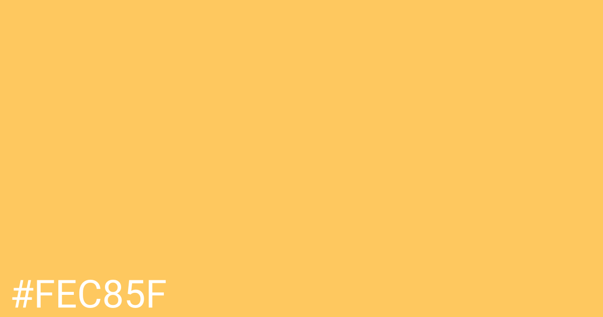 Hex color #fec85f graphic