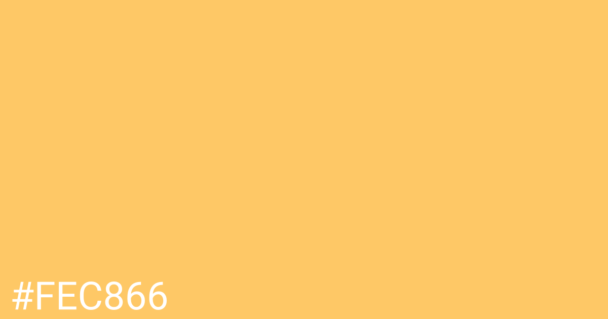 Hex color #fec866 graphic