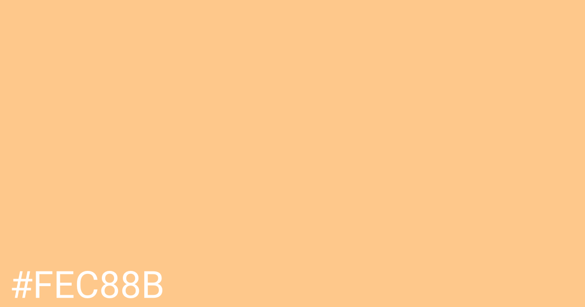 Hex color #fec88b graphic