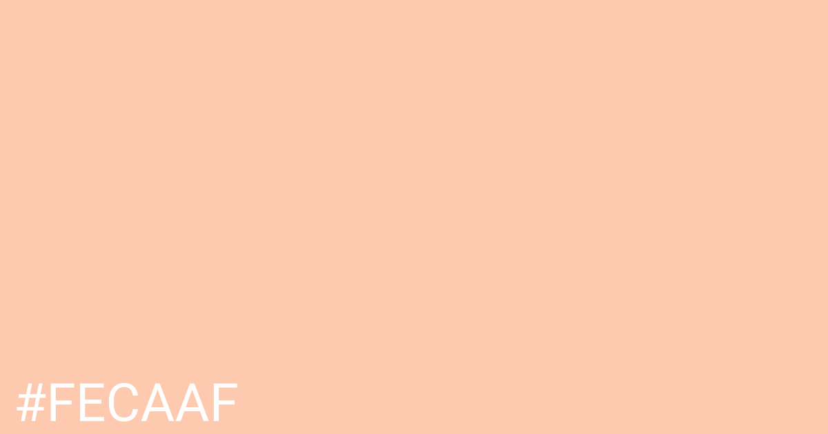 Hex color #fecaaf graphic