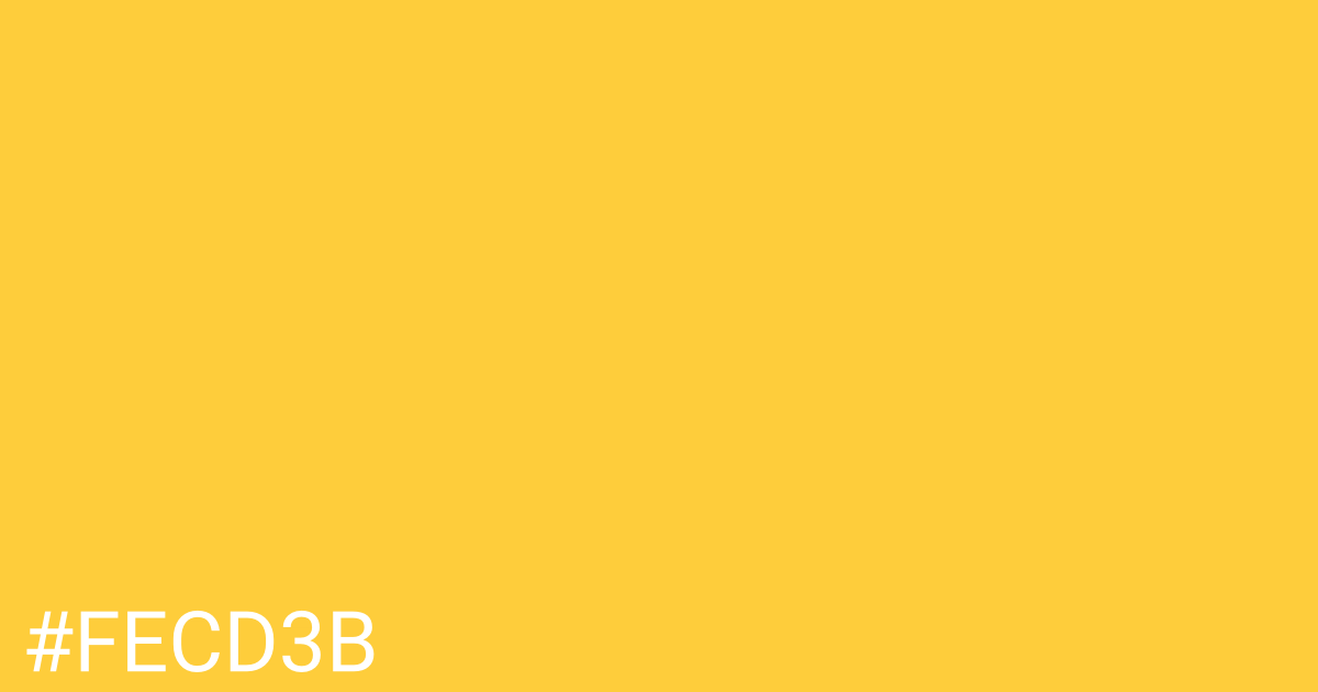 Hex color #fecd3b graphic