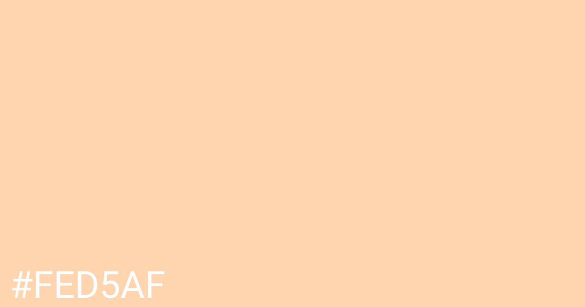 Hex color #fed5af graphic