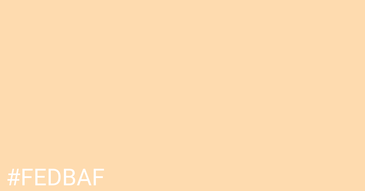 Hex color #fedbaf graphic