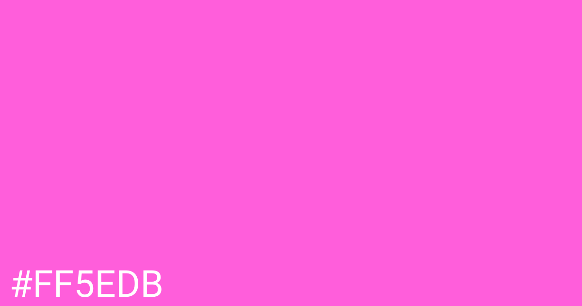 Hex color #ff5edb graphic