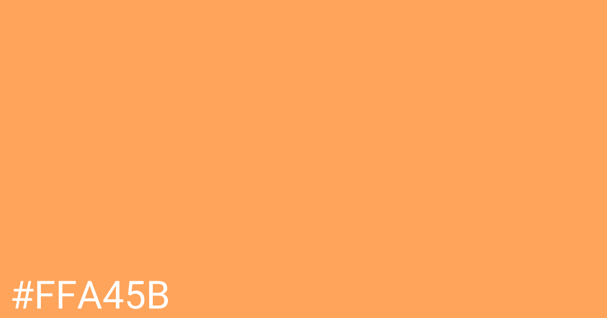 Hex color #ffa45b graphic