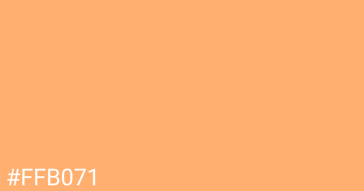 Hex color #ffb071 graphic