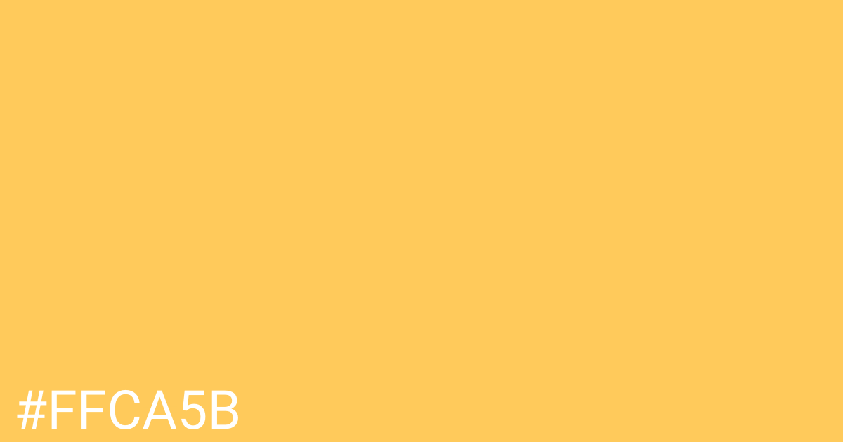 Hex color #ffca5b graphic